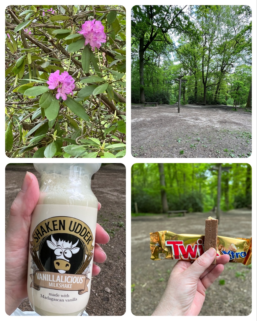 Collage 
Top left rhododendron bush with pinky purple flowers 
Top right the view from my “picnic bench” of the Six Ways clearing with signpost in the middle (with “fingers” pointing in various directions), benches at the entrance of the paths opposite.
Bottom left Udderly Shaken Vanillalicious Milkshake the label has a cow’s head on the label.
Bottom left a partly eaten Twix finger against the gold packet with Six Ways as backdrop.