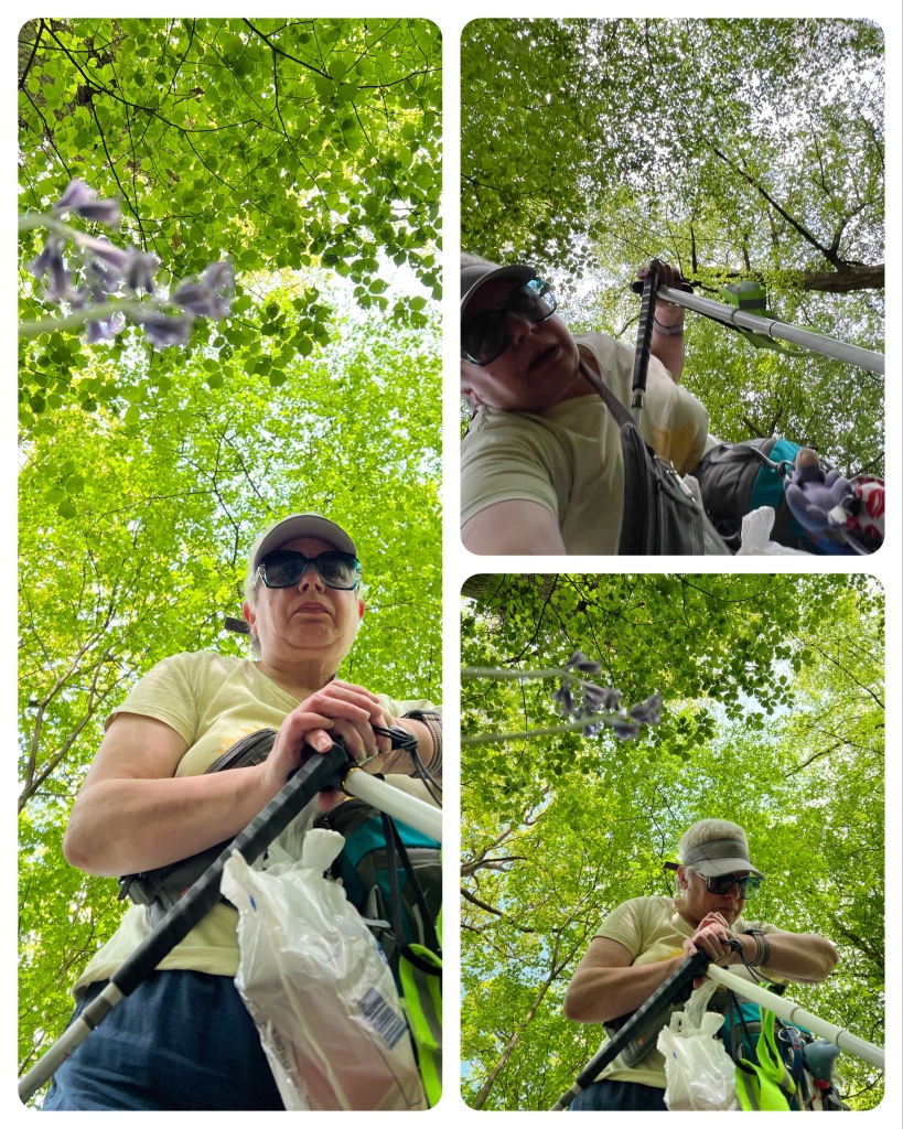 Collage
Left posed photo of me looking towards the camera my white cane and walking stick handles in front of me a fuzzy bluebell to the top left of the picture and the tree foliage above me masking the sky.
Top right me leaning down to adjust where the phone is laying while leaning on my walking stick to maintain balance 
Bottom right me checking my watch screen.
All photos have the tree foliage above me. I’m wearing a light grey tennis visor, green sunglasses (frame/lenses), yellow T-shirt, navy trousers. 